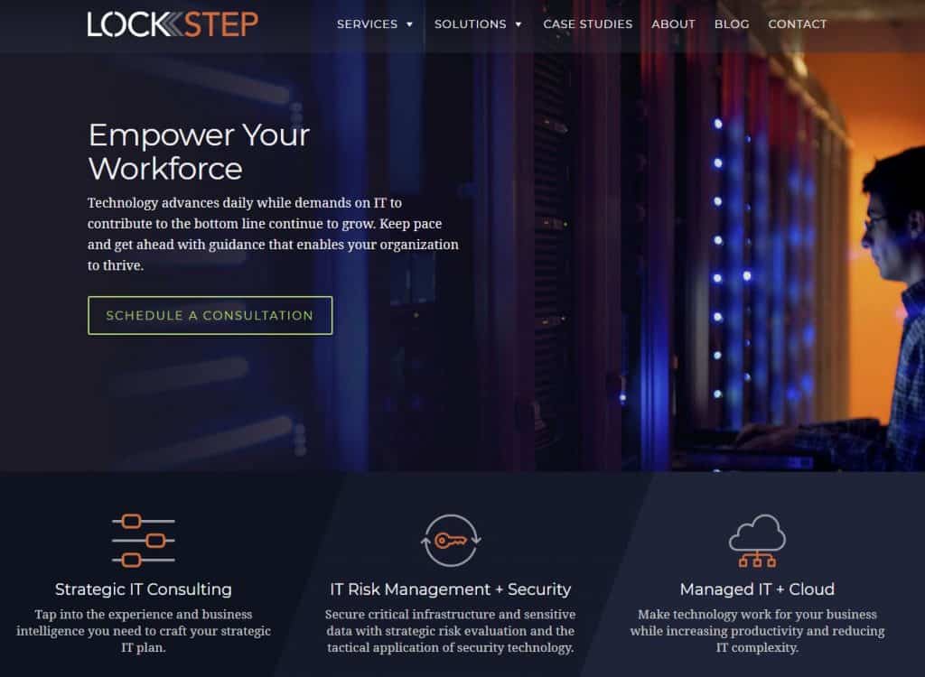 Lockstep Technology Group : Lockstep Company Profile – VXNE