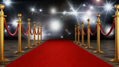 NEW for 2026! Velvet Rope Sponsor - 2026 AWARDS GALA
