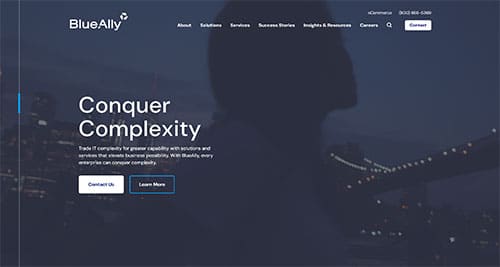 BlueAlly_web screenshot of 123 signup's website